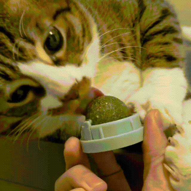 Catnip Ball for Cats, Extra Cat Energy Ball, Edible Toys, Lick Safe Healthy Kitten Chew & Teeth Cleaning Dental Toys